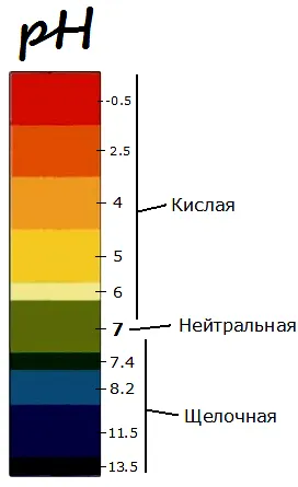 dysbiosis intestinal ca un cerc vicios