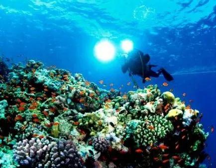 Partea de jos a oceanului mondial, care a investigat oceanele lumii, cercetători