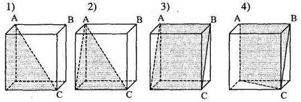 geometrie E-curs pe secțiuni de construcție poliedrelor