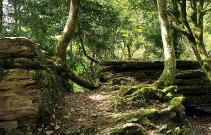 Tour a Pitsunda látnivalók, séta térkép, hogyan lehet eljutni