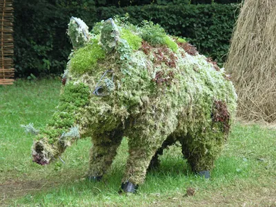 Festivalul de paturi de flori în Kuzminki