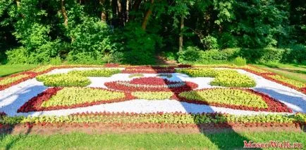 Festivalul de paturi de flori în parcul Kuzminki - Moscova plimbări, parcuri