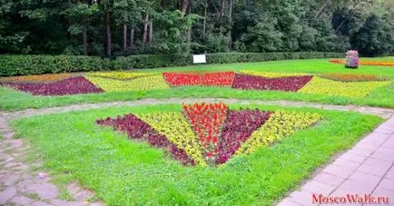 Festivalul de paturi de flori în parcul Kuzminki - Moscova plimbări, parcuri