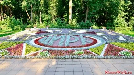 Festivalul de paturi de flori în parcul Kuzminki - Moscova plimbări, parcuri