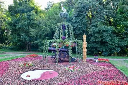 Festivalul de paturi de flori în parcul Kuzminki - Moscova plimbări, parcuri