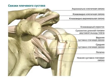 Retainer vállízület típusú és alkalmazási javallatok