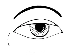 Отгатване формата на очите, на размера на окото, ирисът, клепачите и на бръчки около очите -