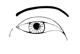 Отгатване формата на очите, на размера на окото, ирисът, клепачите и на бръчки около очите -