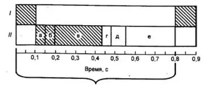 кръвообращението функция