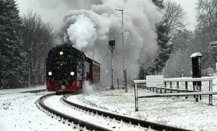 Jövendőmondás a menyasszony az esküvő előtt, esküvő portál Jekatyerinburg svadba66