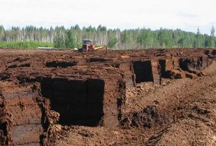 În cazul în care pentru a obține gazon pentru grădină, îmbunătățește dreptul îngrășămintelor de sol