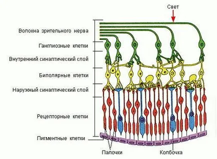 Enciclopedia Eyeball