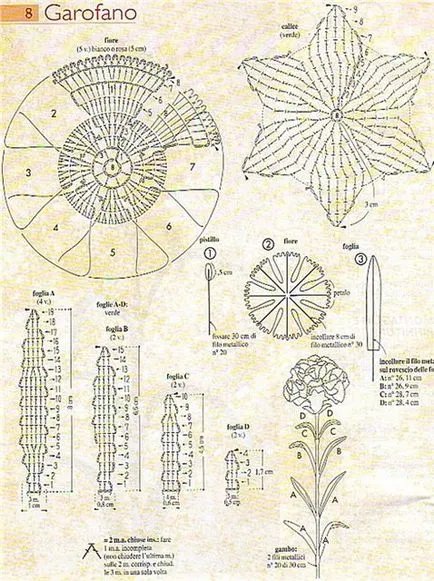 Carnation Crochet 6 specii - acasă Mamele