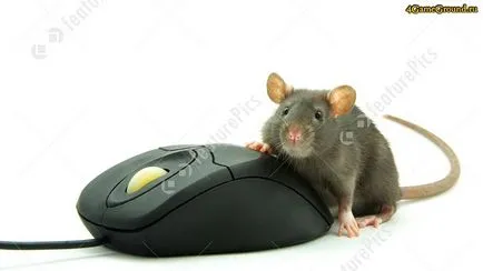 Игра на мишката - играете онлайн безплатно