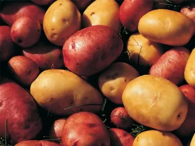 Интересни за картофи - интелигентен сайт