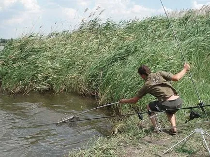 Keresünk ponty alapján nyilvánvaló jellemzői a tározó, a mester-Fisher