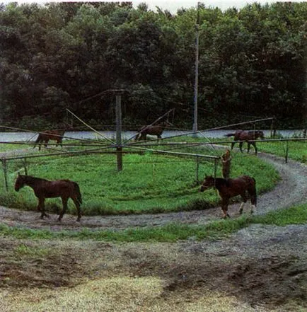 Hippodrome în 1988 kambegov b