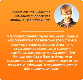 Как да се отървете от хлебарки в кухнята, хлебарки в микровълновата