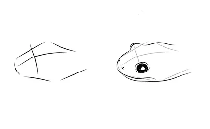 Cum de a desena un creioane Salamander, pictează etape