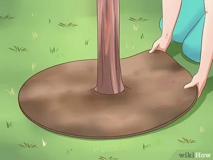 Cum de a preveni degradarea solului