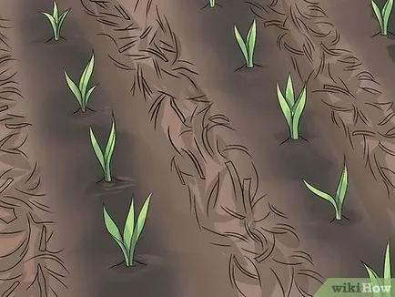 Как да се предпазим от деградацията на почвата