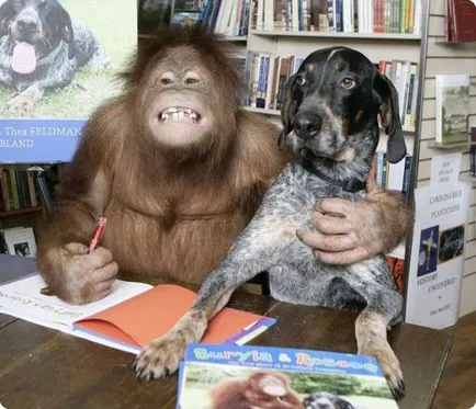 Jelica kutya és orángután