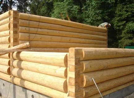 Cum sa faci o baie de lemn cu mâinile în site-ul de țară