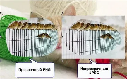 Как да направите снимка на екрана на вашия компютър (лаптоп), видео уроци