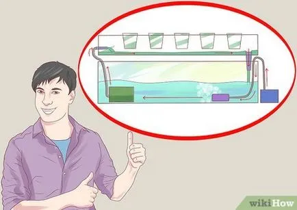 Как да се съберат собствените си ръце евтин хидропонно система