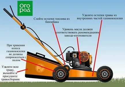 Как да съхранявате градински инструменти зимата (информационни графики), случаят с градина ()