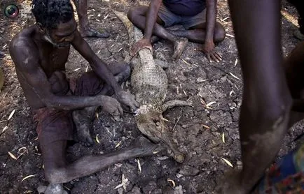 Как са Avstraliyskie Aborigeny yolngu