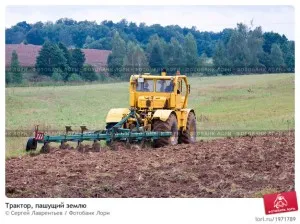 Rezumate de sesiuni de familiarizare cu lumea „ca pâinea a venit la masa“ - planeta copilăriei