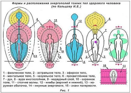 Консултации психическа, психическа консултация безплатна консултация онлайн психически,