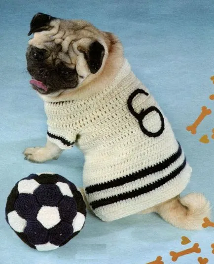 Bluză și o minge pentru câine croșetate, peteliki
