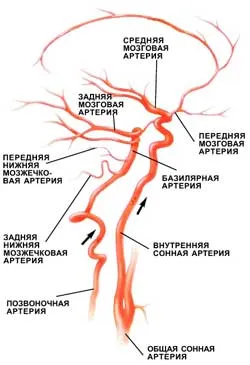 hematoencefalică