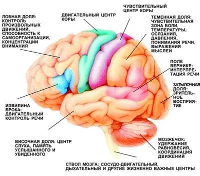 hematoencefalică