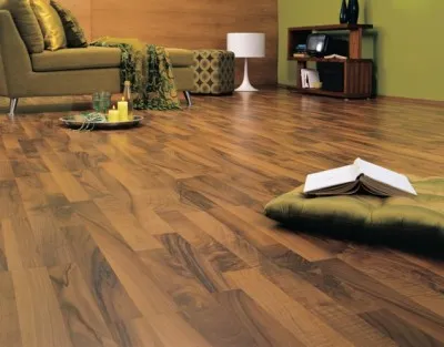 Laminat ecoflooring de opțiuni de alegere și de plasare Germania