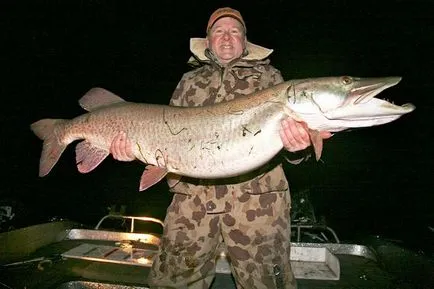 Muskie - o stiuca gigant Americii - stiuca