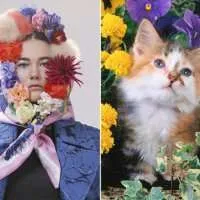 Модна фотосесия в стила на женска котка как да се направи една снимка - за жените списание за красота и стил