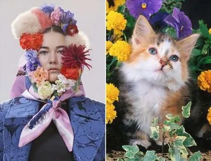 Модна фотосесия в стила на женска котка как да се направи една снимка - за жените списание за красота и стил