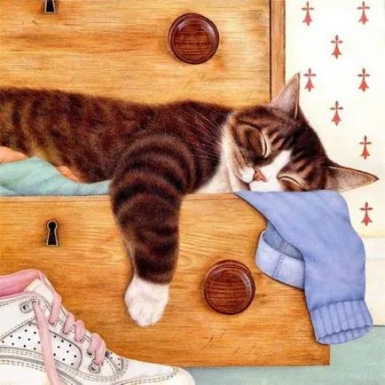 Japán művész - illusztrátor Makoto Muramatsu és az ő macskája - Fair Masters - kézzel készített,