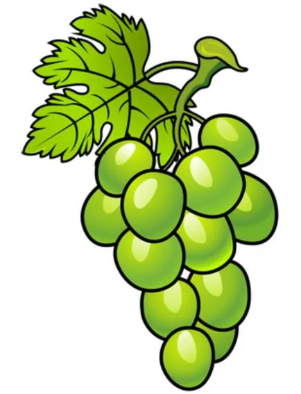 A bogyók felhívni szőlőfürt