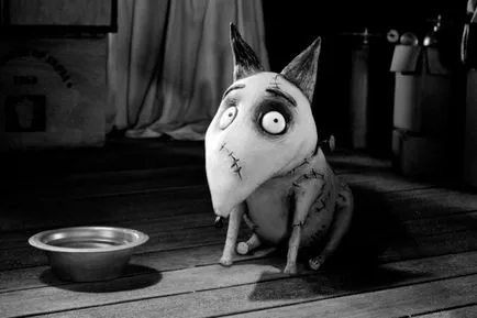 Frankenweenie „Sun coada de cal într-o priză de alimentare