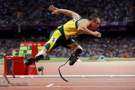 Az erkölcsi fogyatékos mind befejezte a karrier-amputált futó Oscar Pistorius - madár, menekülés