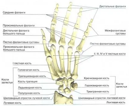 MRI на китката и ръката