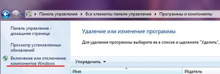 Създаване на уеб достъп до 1C в режим на файла - това отбелязва, специалист