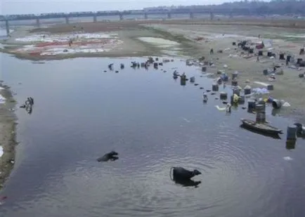 Истинският ужас на свещените реки Ганг, umkra