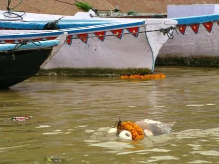 Истинският ужас на свещените реки Ганг, umkra