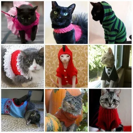 macska ruhákat saját kezűleg - ötletek inspiráció