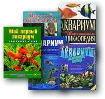 От създаването и грижата за съветите за морски аквариум за начинаещи